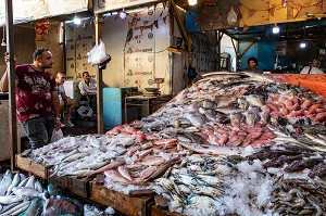 LES ETALAGES DE POISSONS COLOREES DU MARCHE AUX POISSONS DE LA MARINA, HURGHADA, EGYPTE, AFRIQUE 