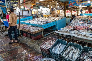 LES ETALAGES DE POISSONS COLOREES DU MARCHE AUX POISSONS DE LA MARINA, HURGHADA, EGYPTE, AFRIQUE 