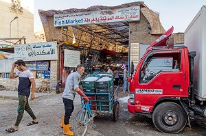 LES ETALAGES DE POISSONS COLOREES DU MARCHE AUX POISSONS DE LA MARINA, HURGHADA, EGYPTE, AFRIQUE 