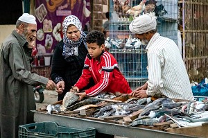 CLIENTS EN FAMILLE CHEZ LE MARCHAND DE POISSONS DANS LA RUE, MARCHE EL DAHAR, QUARTIER POPULAIRE DE LA VIEILLE VILLE, HURGHADA, EGYPTE, AFRIQUE 