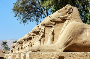 DROMOS ALLEE DE SPHINX A TETE DE LION, ENTREE DU TEMPLE DE KARNAK, SITE DE L'EGYPTE ANTIQUE DE LA XIII EME DYNASTIE, PATRIMOINE MONDIAL DE L'UNESCO, LOUXOR, EGYPTE, AFRIQUE 