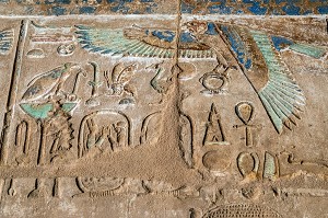 FAUCON EGYPTIEN SYMBOLE DU DIEU HORUS, HIEROGLYPHES EGYPTIENNES ECRITURE SACREE FIGURATIVE, DOMAINE D'AMON, TEMPLE DE KARNAK, SITE DE L'EGYPTE ANTIQUE DE LA XIII EME DYNASTIE, PATRIMOINE MONDIAL DE L'UNESCO, LOUXOR, EGYPTE, AFRIQUE 