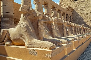 DROMOS ALLEE DE SPHINX CRIOCEPHALES A TETE DE BELIER A CORNES RETOURNEES, ENTREE DU TEMPLE DE KARNAK, SITE DE L'EGYPTE ANTIQUE DE LA XIII EME DYNASTIE, PATRIMOINE MONDIAL DE L'UNESCO, LOUXOR, EGYPTE, AFRIQUE 
