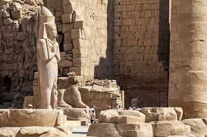 STATUE COLOSSALE DE RAMSES II, DOMAINE D'AMON, TEMPLE DE KARNAK, SITE DE L'EGYPTE ANTIQUE DE LA XIII EME DYNASTIE, PATRIMOINE MONDIAL DE L'UNESCO, LOUXOR, EGYPTE, AFRIQUE 