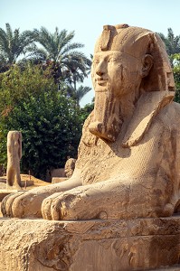 SPHINX D'ALBATRE DE MEMPHIS PLUS GRANDE SCULPTURE CONNU EN ALBATRE, MUSEE EN PLEIN AIR DE MIT RAHINA, CLASSE AU PATRIMOINE MONDIAL DE L'UNESCO, LE CAIRE, EGYPTE, AFRIQUE 