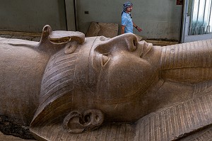 DETAIL DU VISAGE DU PHARAON, STATUE DU COLOSSE EN GRANIT DE RAMSES II, 10 METRES DE LONG, MUSEE DE MIT RAHINA EN PLEIN AIR, CLASSE AU PATRIMOINE MONDIAL DE L'UNESCO, LE CAIRE, EGYPTE, AFRIQUE 