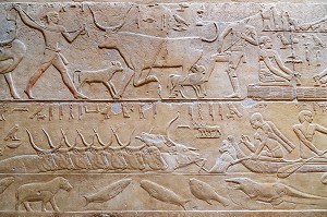 TRAVAIL A LA FERME AVEC L'ELEVAGE DES BETES ET LA PECHE DES POISSONS, TRAITE DU LAIT DE VACHE, BAS-RELIEF DU MASTABA DE KAGEMNI, VIZIR DU PHARAON TETI DE LA IV EME DYNASTIE, NECROPOLE DE SAQQARAH, EGYPTE, AFRIQUE 