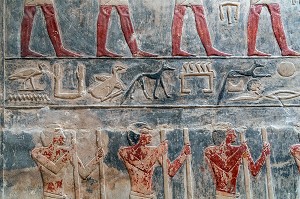 TRAVAIL A LA FERME, BAS-RELIEF DU MASTABA DE KAGEMNI, VIZIR DU PHARAON TETI DE LA IV EME DYNASTIE, NECROPOLE DE SAQQARAH, REGION DE MEMPHIS ANCIENNE CAPITALE DE L'EGYPTE ANTIQUE, LE CAIRE, EGYPTE, AFRIQUE 