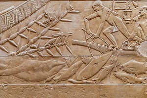 SCENE DE PECHE DE POISSONS, BAS-RELIEF DU MASTABA DE KAGEMNI, VIZIR DU PHARAON TETI DE LA IV EME DYNASTIE, NECROPOLE DE SAQQARAH, REGION DE MEMPHIS ANCIENNE CAPITALE DE L'EGYPTE ANTIQUE, LE CAIRE, EGYPTE, AFRIQUE 