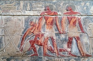 TRAVAIL A LA FERME, BAS-RELIEF DU MASTABA DE KAGEMNI, VIZIR DU PHARAON TETI DE LA IV EME DYNASTIE, NECROPOLE DE SAQQARAH, REGION DE MEMPHIS ANCIENNE CAPITALE DE L'EGYPTE ANTIQUE, LE CAIRE, EGYPTE, AFRIQUE 