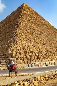 DROMADAIRE DEVANT LA PYRAMIDE DE KHEOPS, LA PLUS GRANDE DE TOUTES LES PYRAMIDES, LE CAIRE, EGYPTE, AFRIQUE 