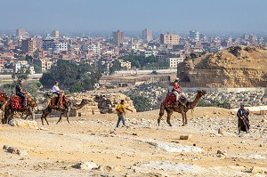 BALADE A DOS DE DROMADAIRE POUR LES TOURISTES AU PIED DES PYRAMIDES DE GIZEH, LE CAIRE, EGYPTE, AFRIQUE 