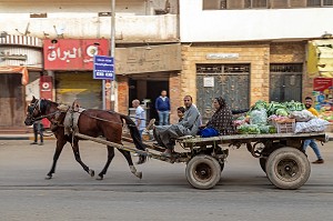 MARAICHER QUI SE REND AU MARCHE EN FAMILLE AVEC SON CHEVAL ET SA REMORQUE DE LEGUMES, LE CAIRE, EGYPTE, AFRIQUE 