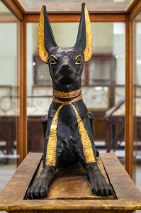 STATUE DU DIEU FUNERAIRE ANUBIS A LA TETE DE CHACAL OU DE CHIEN SAUVAGE, MUSEE EGYPTIEN DU CAIRE CONSACRE A L'ANTIQUITE EGYPTIENNE, LE CAIRE, EGYPTE, AFRIQUE 