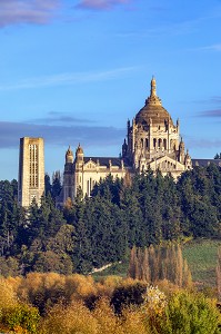  CAMPANILE AND THE BASILICA OF SAINTE-THERESE OF LISIEUX EMERGING OUT OF THE COUNTRY LANDSCAPE, BIGGEST BASILICA IN FRANCE AND PILGRIMAGE SITE, LISIEUX, PAYS D'AUGE, NORMANDY, FRANCE