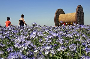 LE CHRONOPODE, RUBAN VERT DANS LES BLES, DEROULE LES ANNEES AU COEUR DE CHAMPS CULTIVES, LE PROMENEUR APPREHENDE LE TEMPS ET LAISSE SA TRACE. EUROLAND. ART, EURE-ET-LOIR, FRANCE 