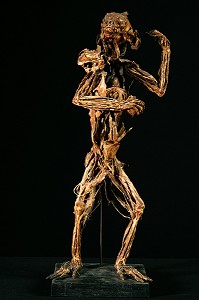 SINGE VERT TENANT UNE NOIX, ECORCHE DE HONORE FRAGONARD, FIN XVIII EME, MUSEE FRAGONARD, ECOLE NATIONALE VETERINAIRE D'ALFORT, MAISONS-ALFORT, VAL-DE-MARNE (94), FRANCE 