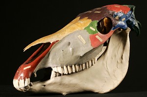 TETE DE CHEVAL PEINTE MONTRANT LES DIFFERENTS OS, MUSEE FRAGONARD, ECOLE NATIONALE VETERINAIRE D'ALFORT, MAISONS-ALFORT, VAL-DE-MARNE (94), FRANCE, MAISONS-ALFORT, VAL-DE-MARNE (94), FRANCE 