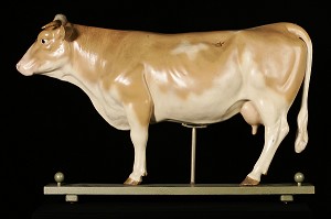 MODELE DE L'ANATOMIE DE LA VACHE, PROFIL EXTERNE, MUSEE FRAGONARD, ECOLE NATIONALE VETERINAIRE D'ALFORT, MAISONS-ALFORT, VAL-DE-MARNE (94), FRANCE 