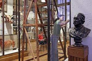 SCENE D'INVENTAIRE AU MUSEE, UNE FOIS PAR SIECLE, TOUTES LES PIECES SONT REPERTORIEES, MUSEE FRAGONARD, ECOLE NATIONALE VETERINAIRE D'ALFORT, MAISONS-ALFORT, VAL-DE-MARNE (94), FRANCE 