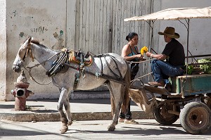 COMMERCANT AVEC SON CHEVAL ET SA CHARRETTE, SCENE DE RUE, TRINIDAD, CLASSEE AU PATRIMOINE MONDIAL DE L’HUMANITE PAR L’UNESCO, CUBA, CARAIBES 