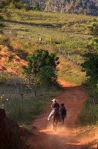 CAVALIER SUR LES CHEMINS DE TERRE ROUGE DE LA VALLEE DE VINALES, CLASSEE AU PATRIMOINE MONDIAL DE L’HUMANITE PAR L’UNESCO, CUBA, CARAIBES 