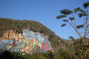 MUR DE LA PREHISTOIRE (MURAL DE LA PREHISTORIA) COMMANDE PAR FIDEL CASTRO EN 1961, PEINTURE SUR UN VERSANT D'UNE MOGOTE (BUTTE MONTAGNEUSE CALCAIRE), VALLEE DE VINALES, CLASSEE AU PATRIMOINE MONDIAL DE L’HUMANITE PAR L’UNESCO, CUBA, CARAIBES 