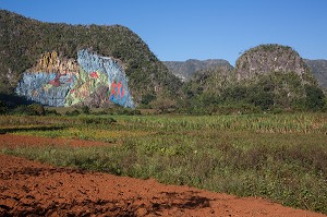 MUR DE LA PREHISTOIRE (MURAL DE LA PREHISTORIA) COMMANDE PAR FIDEL CASTRO EN 1961, PEINTURE SUR UN VERSANT D'UNE MOGOTE (BUTTE MONTAGNEUSE CALCAIRE), VALLEE DE VINALES, CLASSEE AU PATRIMOINE MONDIAL DE L’HUMANITE PAR L’UNESCO, CUBA, CARAIBES 