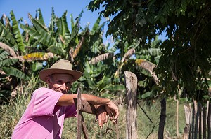 OUVRIER AGRICOLE DANS LA PLANTATION DE BANANES, CASA GUACHINANGO, ANCIENNE HACIENDA DU 18EME SIECLE, VALLEE DE LOS INGENIOS CLASSEE AU PATRIMOINE MONDIAL DE L’HUMANITE PAR L’UNESCO, CUBA, CARAIBES 