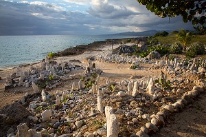SCULPTURES DE CORAIL SUR LA PLAGE DE SABLE FIN SITUEE ENTRE LE VILLAGE DE LA BOCA ET LA PLAGE ACON AU SUD DE LA VILLE DE TRINIDAD, CUBA, CARAIBES 