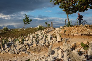SCULPTURES DE CORAIL SUR LA PLAGE DE SABLE FIN SITUEE ENTRE LE VILLAGE DE LA BOCA ET LA PLAGE ACON AU SUD DE LA VILLE DE TRINIDAD, CUBA, CARAIBES 