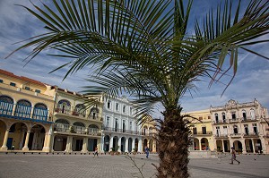 IMMEUBLES DE LA PLAZA VIEJA, LA HAVANE, CUBA, CARAIBES 