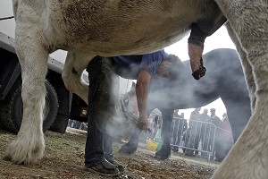 MARECHAL-FERRANT, FOIRE DE LA SAINT-MARTIN, EURE-ET-LOIR, FRANCE 