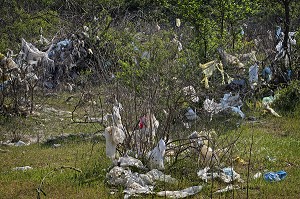 SACS PLASTIQUES ET DETRITUS, DECHARCHE SAUVAGE EN PLEINE NATURE, POLLUTION DE L'ENVIRONNEMENT 