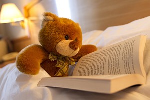 TEDDY L'OURS EN PELUCHE LISANT DANS SA CHAMBRE 