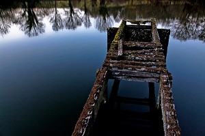 VIEUX PONTON EN BOIS SUR UN ETANG A LA TOMBEE DE LA NUIT, CREUSE (23), FRANCE 