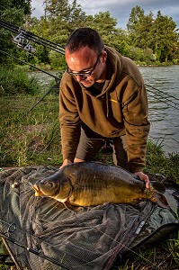 CARPE MIROIR DE 15 KILOGRAMMES, PECHE NO-KILL AVEC REMISE IMMEDIATE DES POISSONS DANS L'EAU, PLAN D'EAU DE MEZIERES-ECLUIZELLES, EURE-ET-LOIR (28), FRANCE 