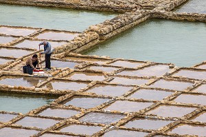 SALINES DE XWEJNI, ILE DE GOZO, MALTE 