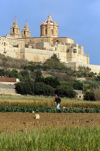 CATHEDRALE SAINT PIERRE ET SAINT PAUL DE MDINA, ANCIENNE VILLE MEDIEVALE FORTIFIEE ET ANCIENNE CAPITALE DE MALTE, MDINA, MALTE 