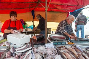 MARCHE AUX POISSONS DE MARSAXLOKK, MALTE 