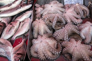 POULPES SUR LE MARCHE AUX POISSONS DE MARSAXLOKK, MALTE 