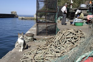 PORT DE PECHE, VILA NOVA DAS MILFONTES, ALENTEJO, PORTUGAL 