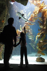 AQUARIUM (OCEONARIO), QUARTIER DU PARC DES NATIONS, SITE DE L'EXPOSITION UNIVERSELLE DE 1998, LISBONNE, PORTUGAL 