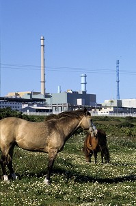 USINE DE RETRAITEMENT DE DECHETS NUCLEAIRES DE LA HAGUE, SOCIETE COGEMA 