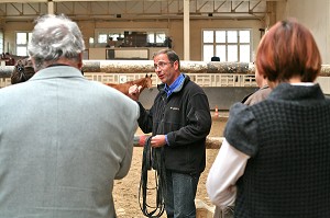 SOCIETE, LE COACHING PAR LE CHEVAL 