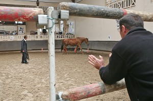 SOCIETE, LE COACHING PAR LE CHEVAL 