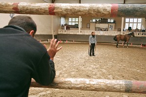 SOCIETE, LE COACHING PAR LE CHEVAL 