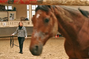 SOCIETE, LE COACHING PAR LE CHEVAL 