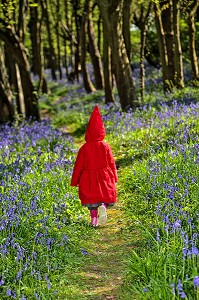 FILLETTE EN PETIT CHAPERON ROUGE SE PROMENANT DANS UN BOIS, FRANCE 