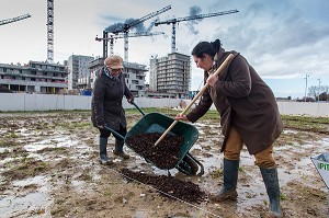 AGRICULTURE URBAINE 